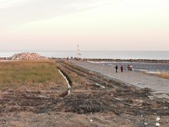 -南汇嘴观海公园