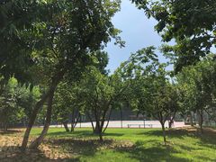 -五环公园