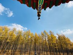 -塞罕坝国家级自然保护区