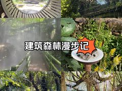 -青青世界