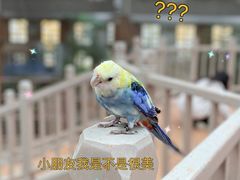 -南宫五洲植物乐园