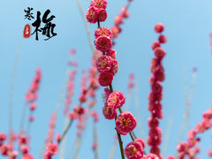 -静安雕塑公园
