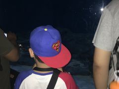 -圣淘沙天际线斜坡滑车