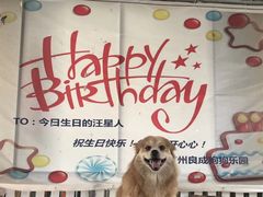 -良成狗狗乐园