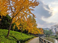 -苏州河梦清园环保主题公园