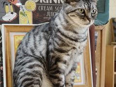 -小时光咖啡馆(开森度假森林店)