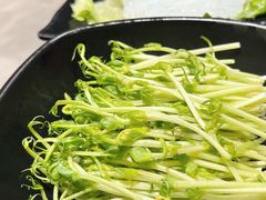 -水哥卜卜贝(东晓·胜汇里店)