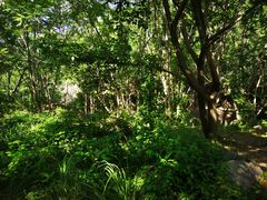 -云岫谷自然风景区