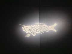 -白鹤梁水下博物馆