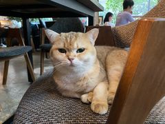 -咖法森林·咖啡  酒吧(天河店)