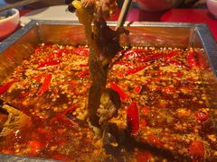 -二荆条·蜀鲜汇城市森林火锅