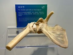 -生命奥秘博物馆