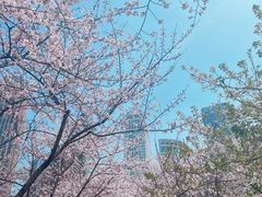 -西北湖绿化广场