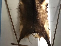 -优游吧斯邹族文化部落