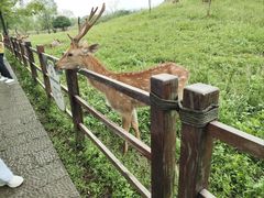 -良渚古城遗址公园