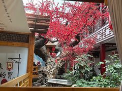 -老山东·山东菜(鲁菜名店)