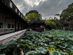 -上海醉白池公园