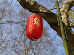 -杭州黄龙洞