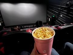 -金逸影城(广州海珠城激光IMAX店)