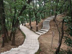 -六里坪国家森林公园