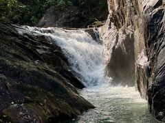 -广州白江湖森林公园