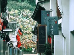 -紫阳古街