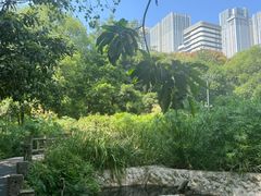 -成都市活水公园