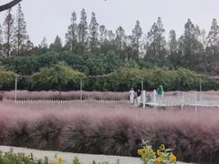 -嘉北郊野公园