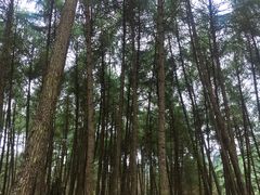 -硗碛藏寨·神木垒景区