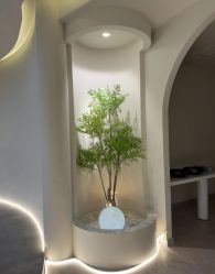 -VE专注问题肌·赛诺龙&科学美肤中心