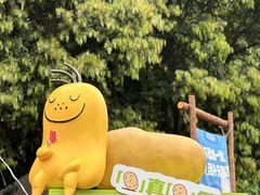 -杭州植物园