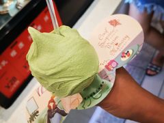 -野人先生现做冰淇淋(西安赛格店)