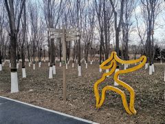 -大兴滨河森林公园