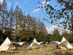 -前小桔亲子创意农场·草莓采摘·露营烧烤