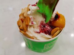-Salud撒露欧洲冻酸奶(五道口购物中心店)