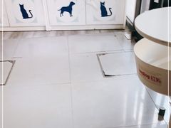 -爱侣宠医·鹦鹉专科·小型哺乳类·异宠专科(灵石路店)