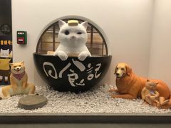 -上海世茂广场(南京东路店)