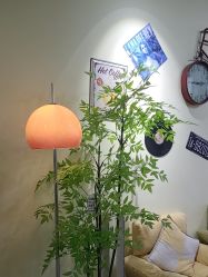 -变美丽半永久纹眉连锁·机器野生眉•洗眉