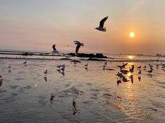 -老虎石海上公园