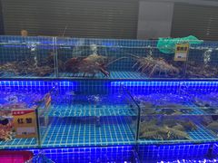 -大东海海鲜酒楼(渔人码头总店)