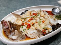 黄皮老虎斑-金悦轩海鲜城(渔人码头店)