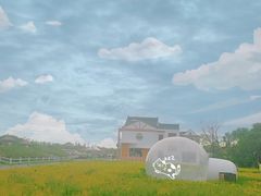-MUSEO COFFEE咖啡博物馆