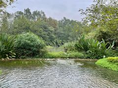 -桤木河湿地公园