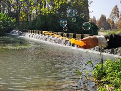 -桤木河湿地公园