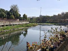 -生宇山珍野生菌汤锅•始于2002(双流古塔店)