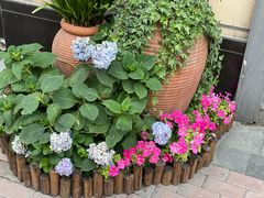 -王府井奥莱临潼小镇(临潼店)