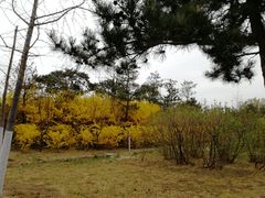 -中家鑫园温泉酒店鑫悦汤泉