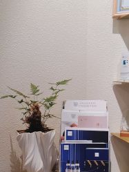 -唯奈斯肌肤管理中心