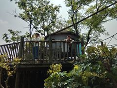 -田园东方蜜桃村的田野营地