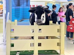 -红星前进面包牛奶公司(君太店)